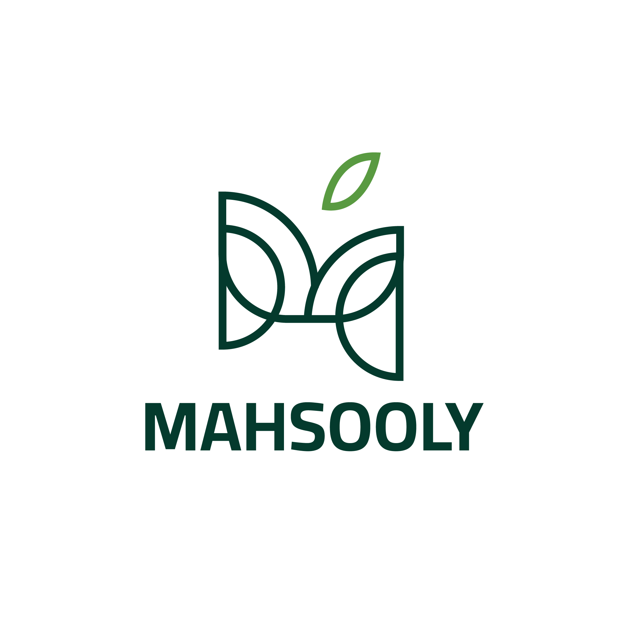 Mahsooly