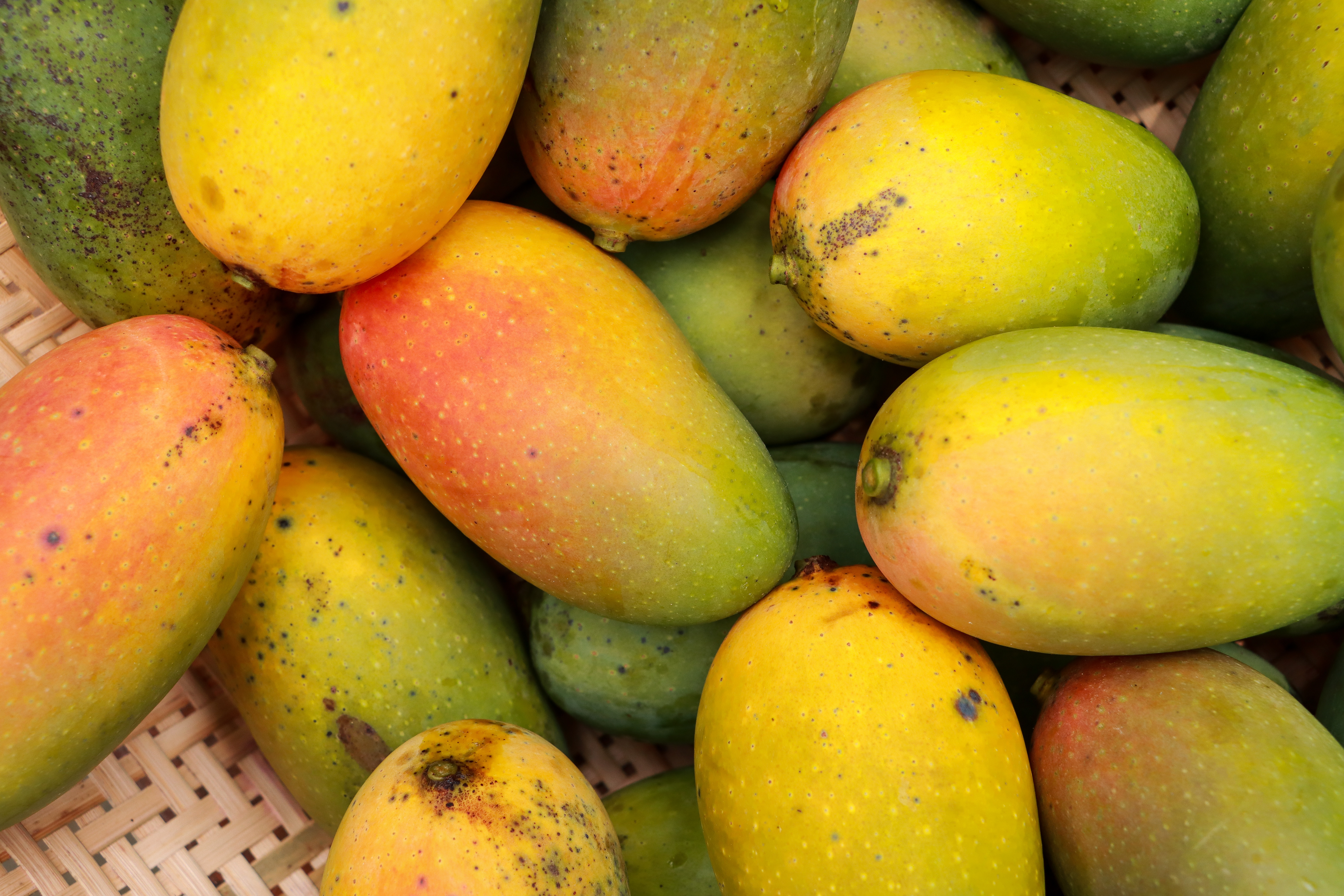 Mango