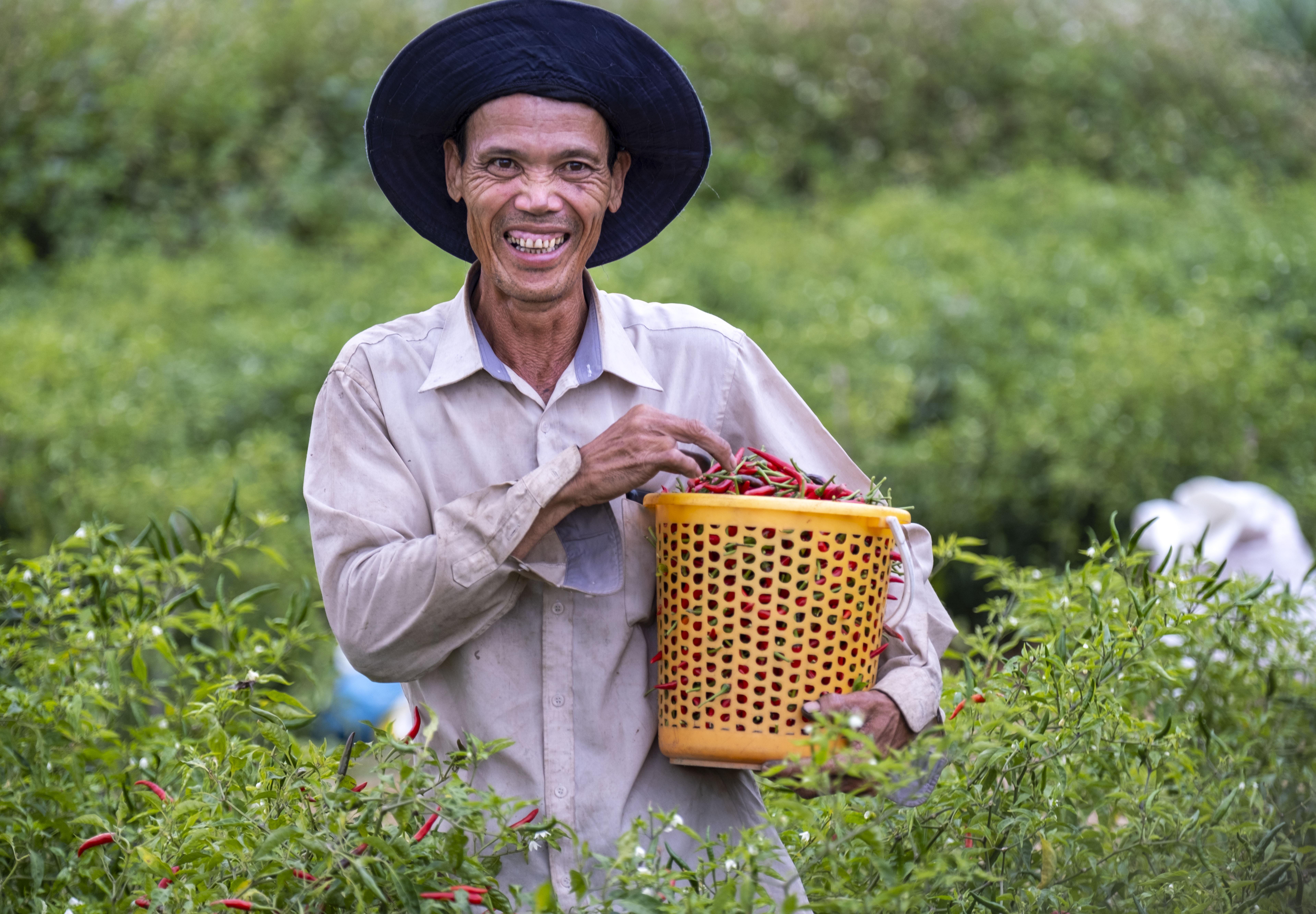 Trust and partnership